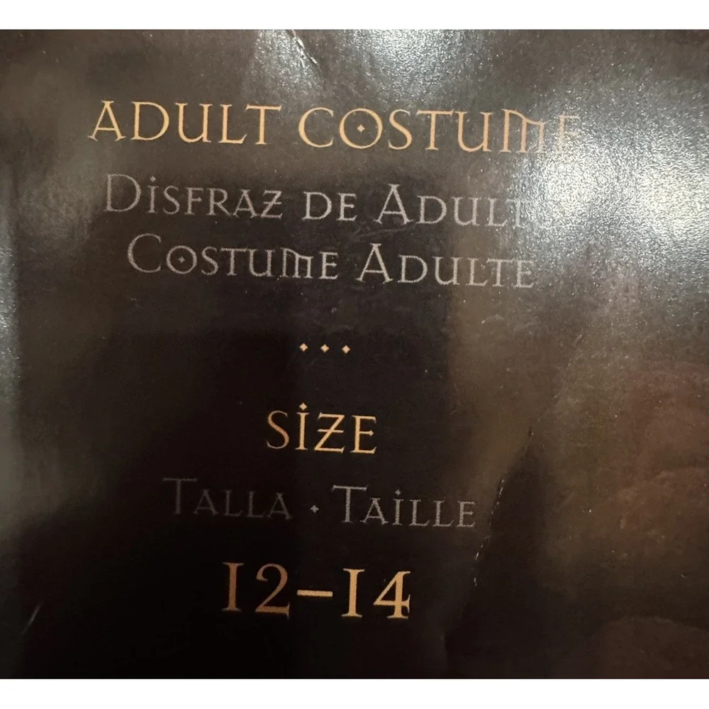 Disguise Thy Wicked Court Countess Adult‎ Costume Gothic Vampire Size 12–14 - Picture 2 of 2